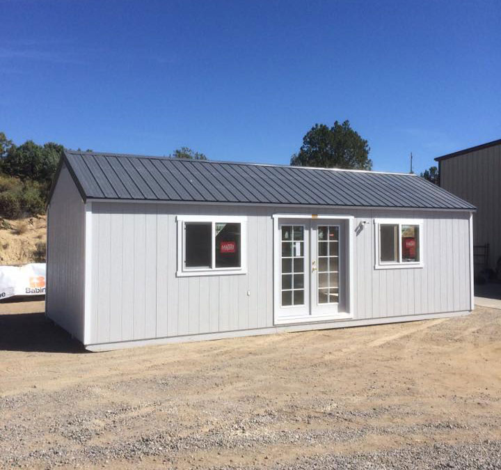 Steel French doors full lite